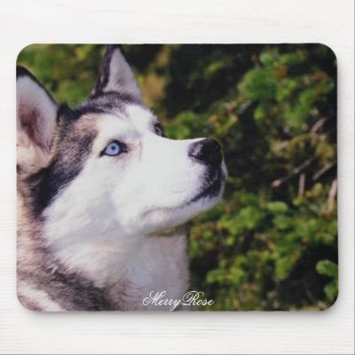 Dog Lookin Upward Mousepad by MerryRose