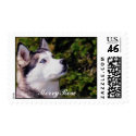 Dog Lookin Upward postage by MerryRose Dog Lookin Upward postage