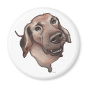 Dog magnet