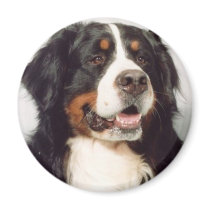 Dog Refrigerator Magnet