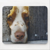 dog mouse pad mousepads