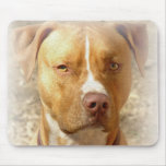 dog mousemats