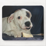 DOG MOUSEPAD