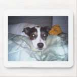 Dog mousepads