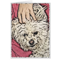 DOG: Multi-Poo Getting a Head Scratch cards by jomodad DOG: Multi-Poo Getting a Head Scratch cards