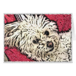 DOG: Multi-Poo Kicking Back Greeting Card