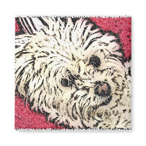 DOG: Multi-Poo Kicking Back Red magnets