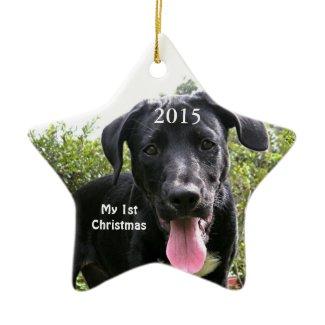 Dog My First Christmas Photo Ornaments ornament