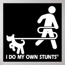 Dog My Own Stunts Poster
