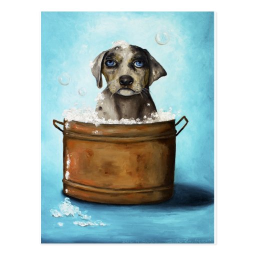 Dog n Suds Postcards