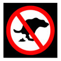 DOG NO  POOP ROAD SIGN posters