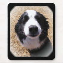 Dog Nose Mousepad by Petcetera Dog Nose Mousepad