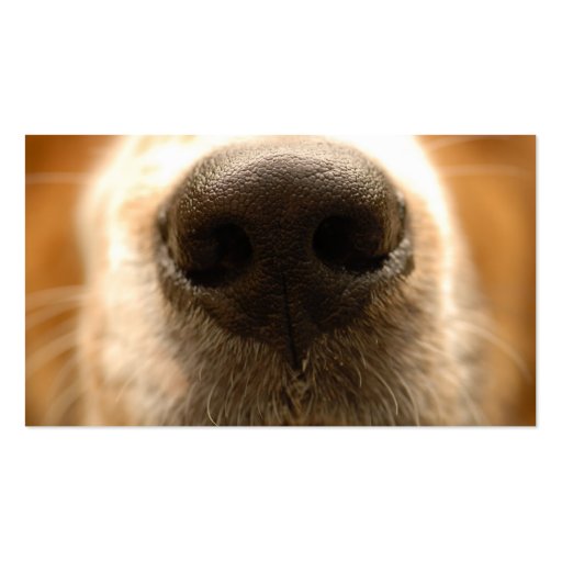 dog nose veterinary business card (front side)