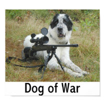dog_of_war_2_poster-p228377759060408577tdar_210.jpg