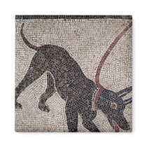 Dog on a leash, from Pompeii Magnets
