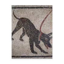 Dog on a leash, from Pompeii Postcard