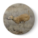 Dog on a Mission Pins Dog on a Mission Pins