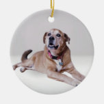 Dog on an ornament ornaments