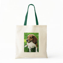 Dog On Bag