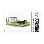 dog on  bed postage