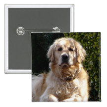 Dog on Guard Button