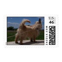dog on leash postage by wisebarber dog on leash postage