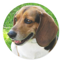 Dog On Sticker