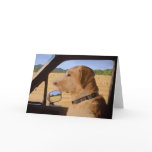 Dog on the Go Greeting Card