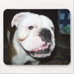 Dog pad mousepads