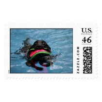 Dog Paddle postage by swizzle84 Dog Paddle postage