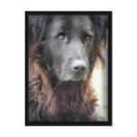 dog painting postcards
