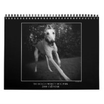 Dog park calendar 3 calendars