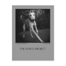 Dog Park Postcard 11 by ErikaSidor Dog Park Postcard 11