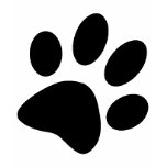 dog paw tee shirt