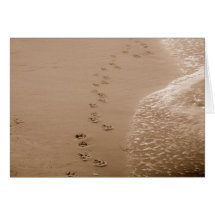 Dog Pawprints In The Sand Sympathy Card