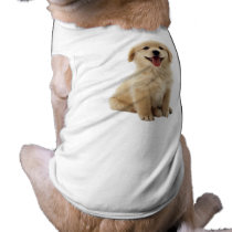 Dog Pet Clothing pet clothing by DogCountry Dog Pet Clothing pet clothing