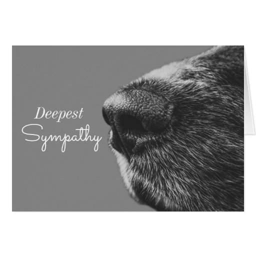 Dog Pet Sympathy Dog Condolence Card Zazzle