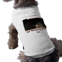 Dog Philosophy pet clothing