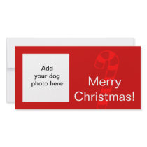 Dog Photo Candy Cane Red White Christmas Card photo cards