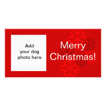 Dog Photo Snowflake Red White Christmas Card Customized Photo Card