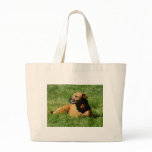 dog,pitbull/boxer mix bags