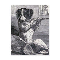 "Dog Playing the Flute" Vintage Illustration Postcards