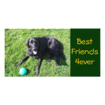 Dog playing with ball - happy Best Friends Picture Card