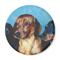 Dog Portrait magnets by White_Wedding Dog Portrait magnets