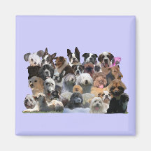 Dog Portraits Magnet