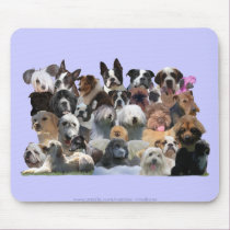 Dog Portraits mousepads