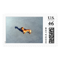 Dog postage by REDINARD Dog postage