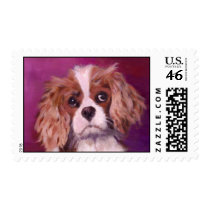 dog postage