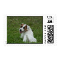 dog postage by cbrummer dog postage