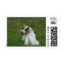 dog postage stamps